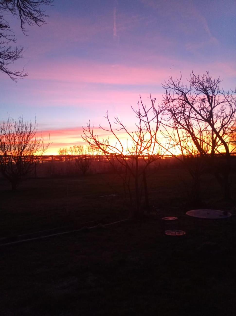Bed and breakfast Art Gli Aironi Pomposa